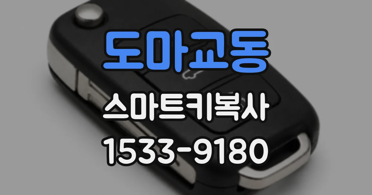 도마교동 스마트키복사