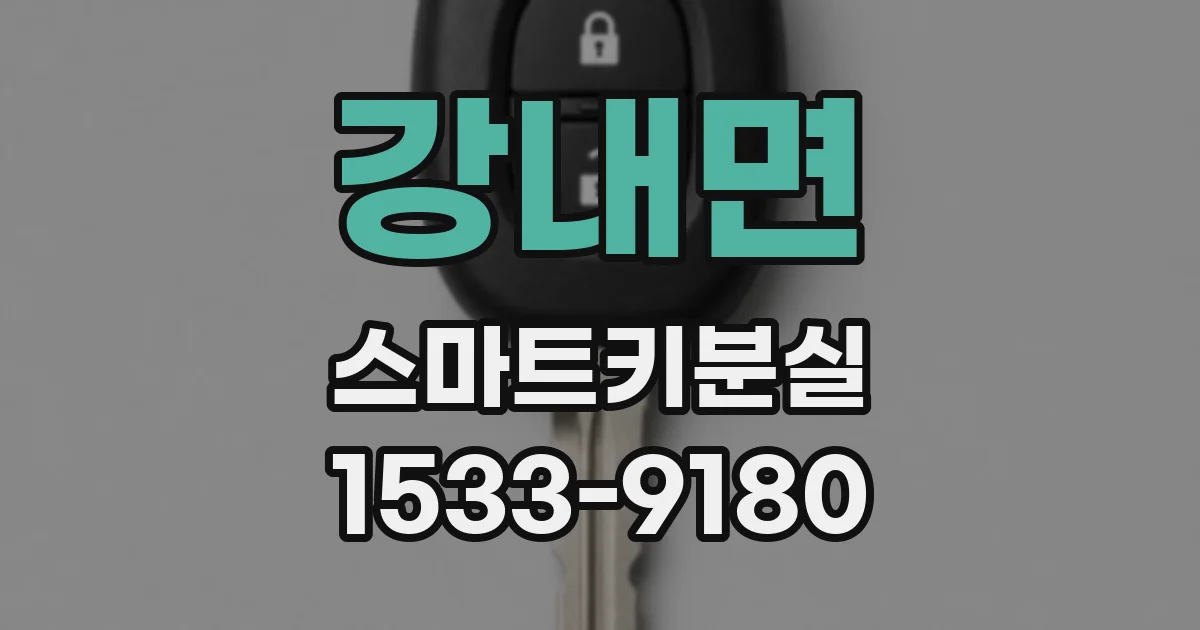 강내면 스마트키분실