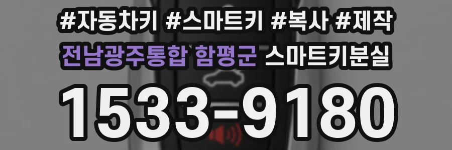 전남광주통합 함평군 스마트키분실