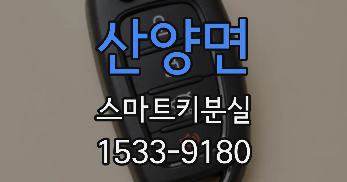 산양면 스마트키분실