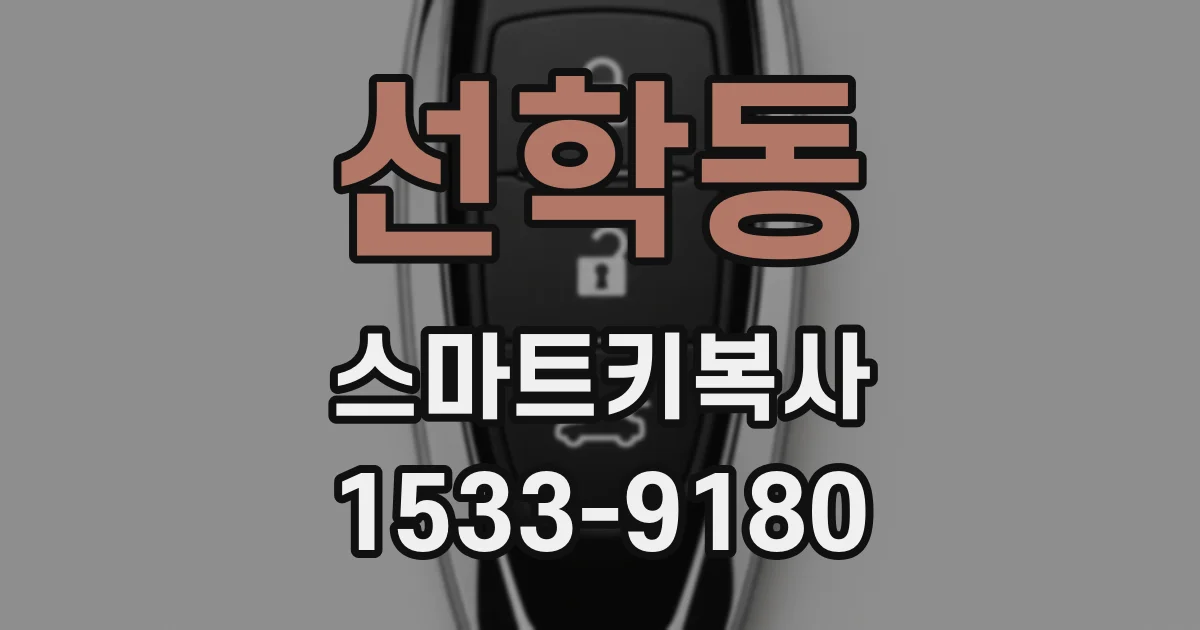 선학동 스마트키복사