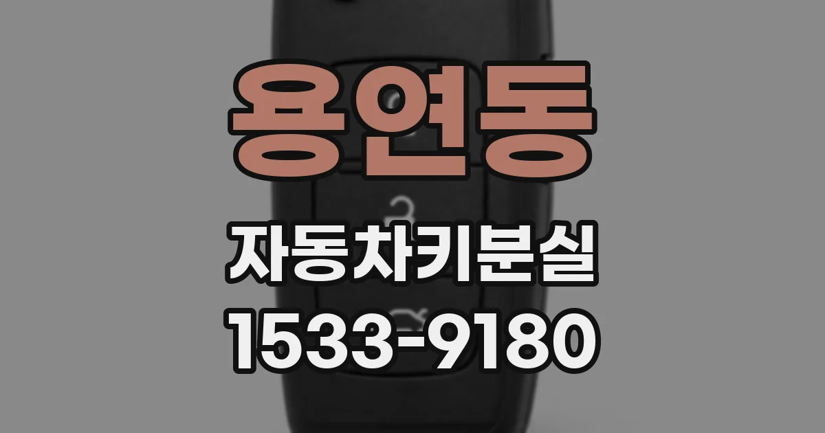 용연동 자동차키분실