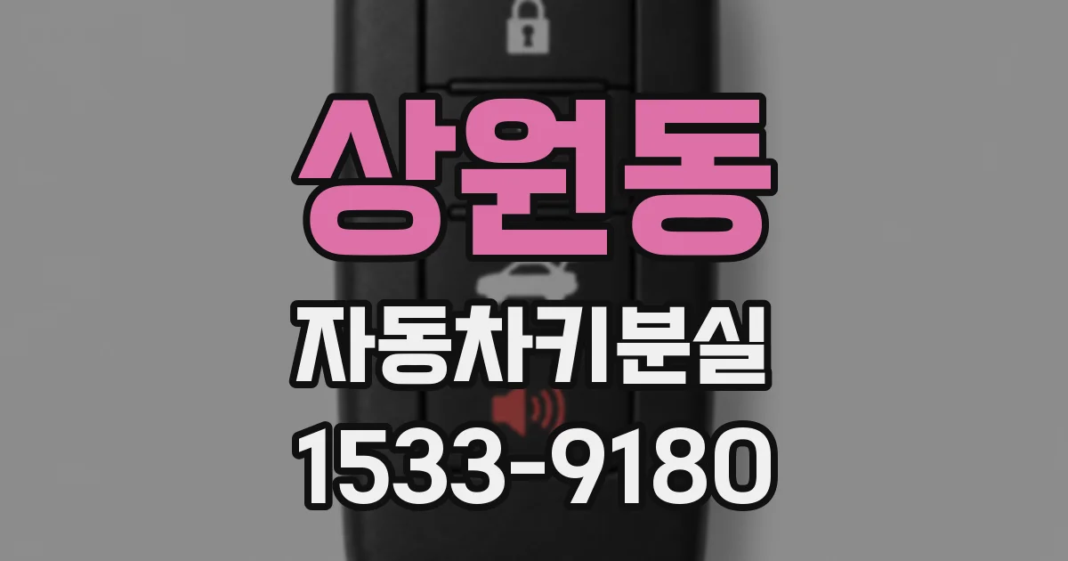 상원동 자동차키분실
