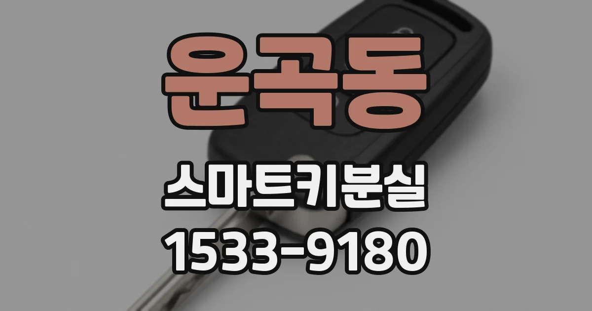 운곡동 스마트키분실