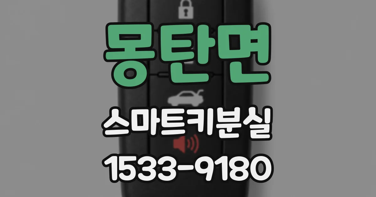 몽탄면 스마트키분실
