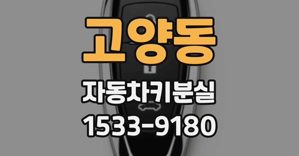 고양동 자동차키분실