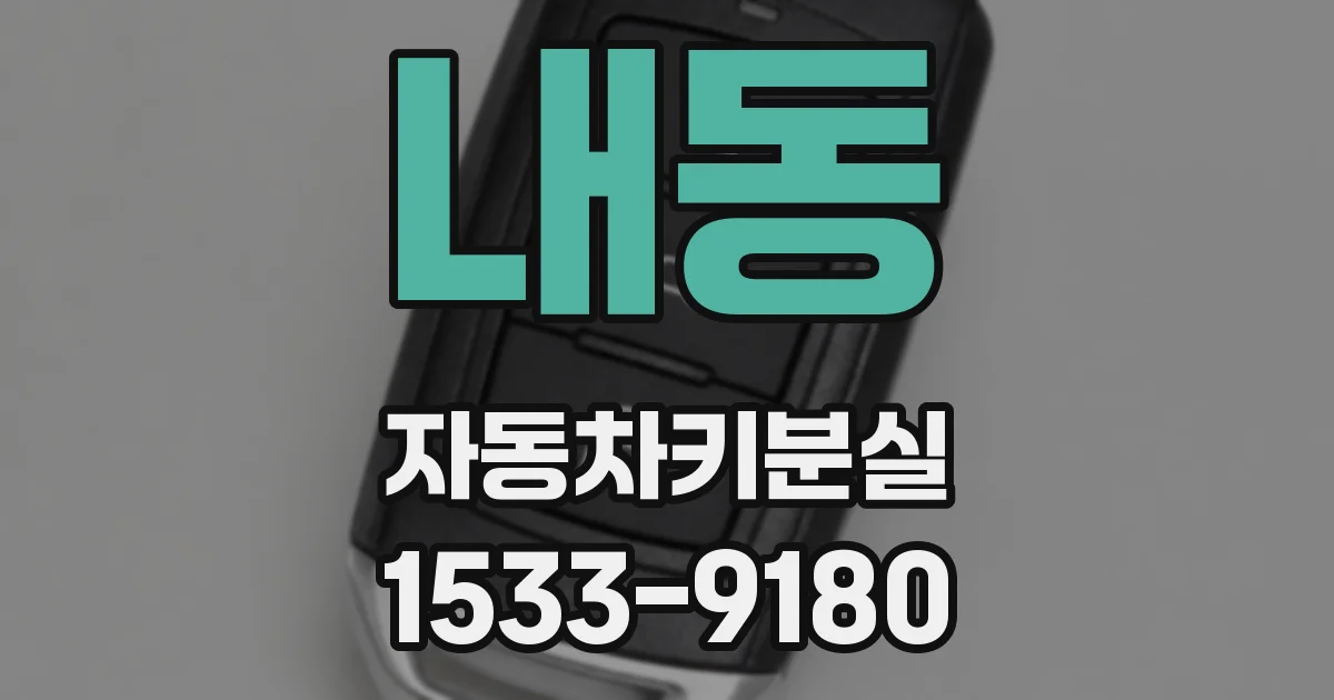 내동 자동차키분실