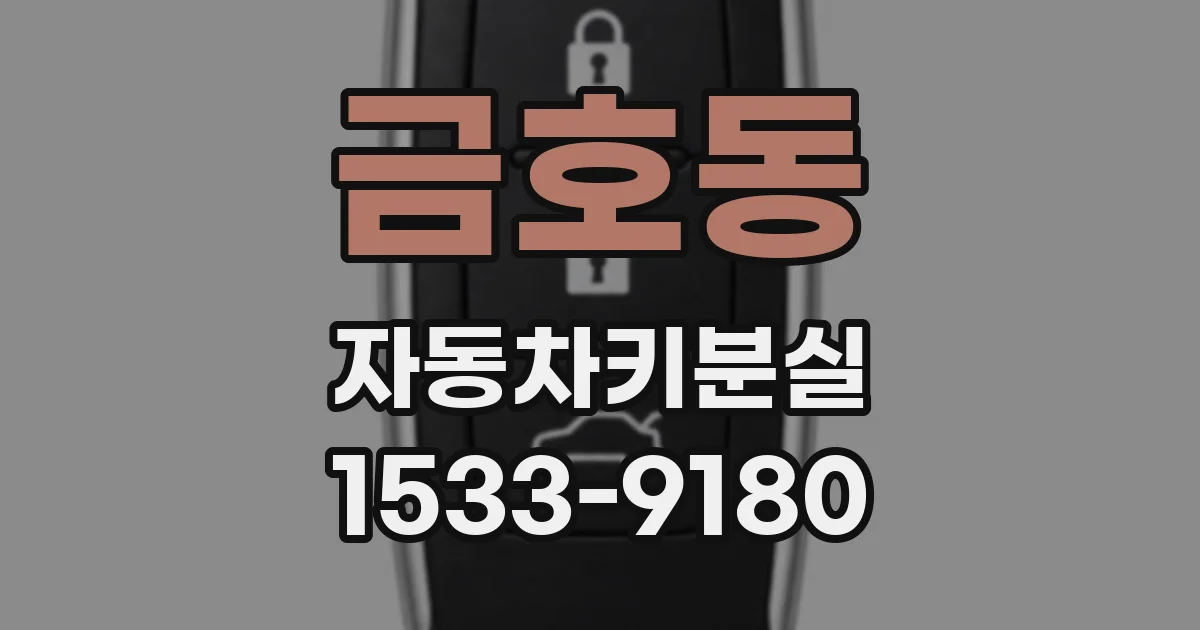 금호동 자동차키분실