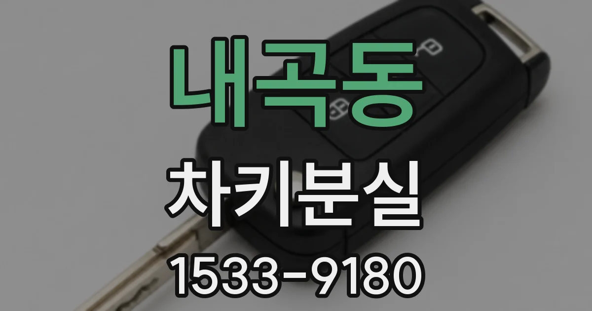 내곡동 차키분실