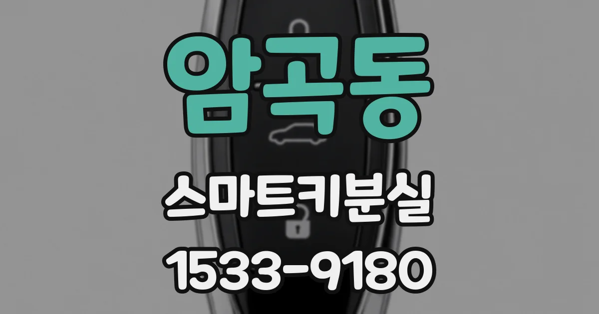 암곡동 스마트키분실