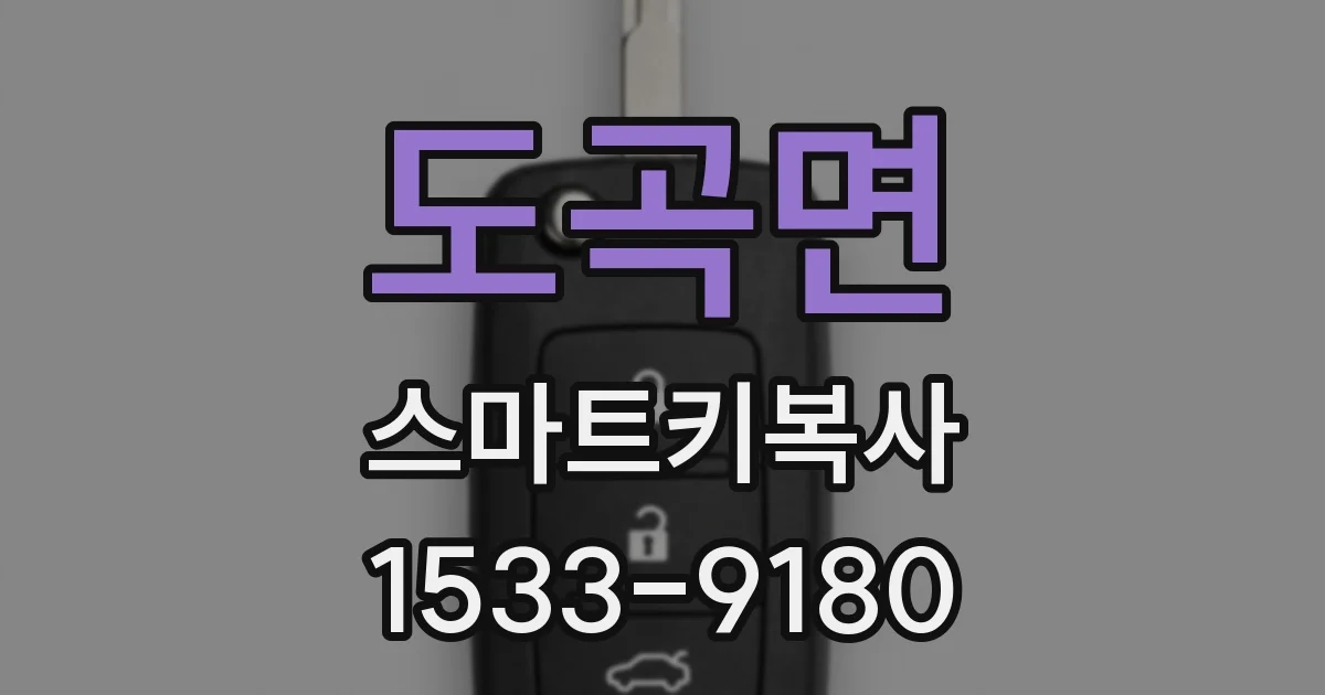 도곡면 스마트키복사