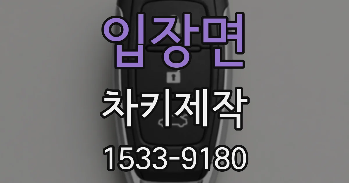 입장면 차키제작