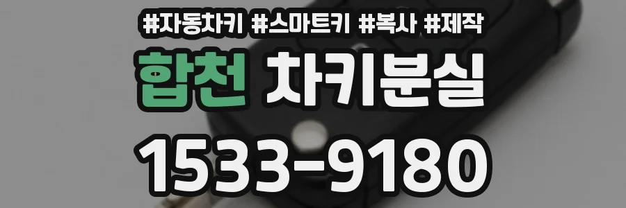합천 차키분실