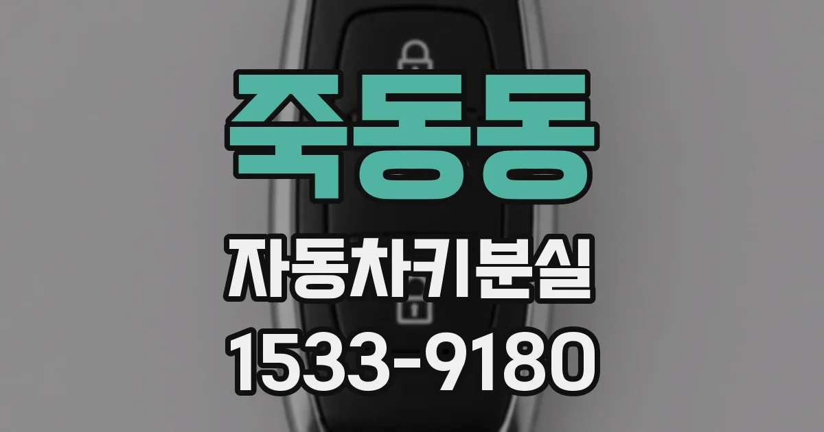 죽동동 자동차키분실