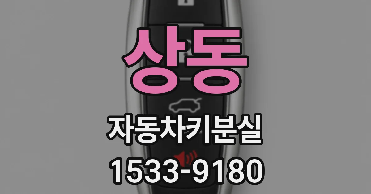 상동 자동차키분실