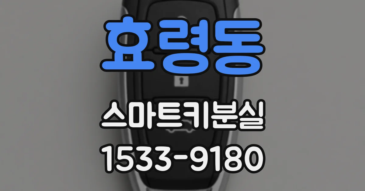효령동 스마트키분실