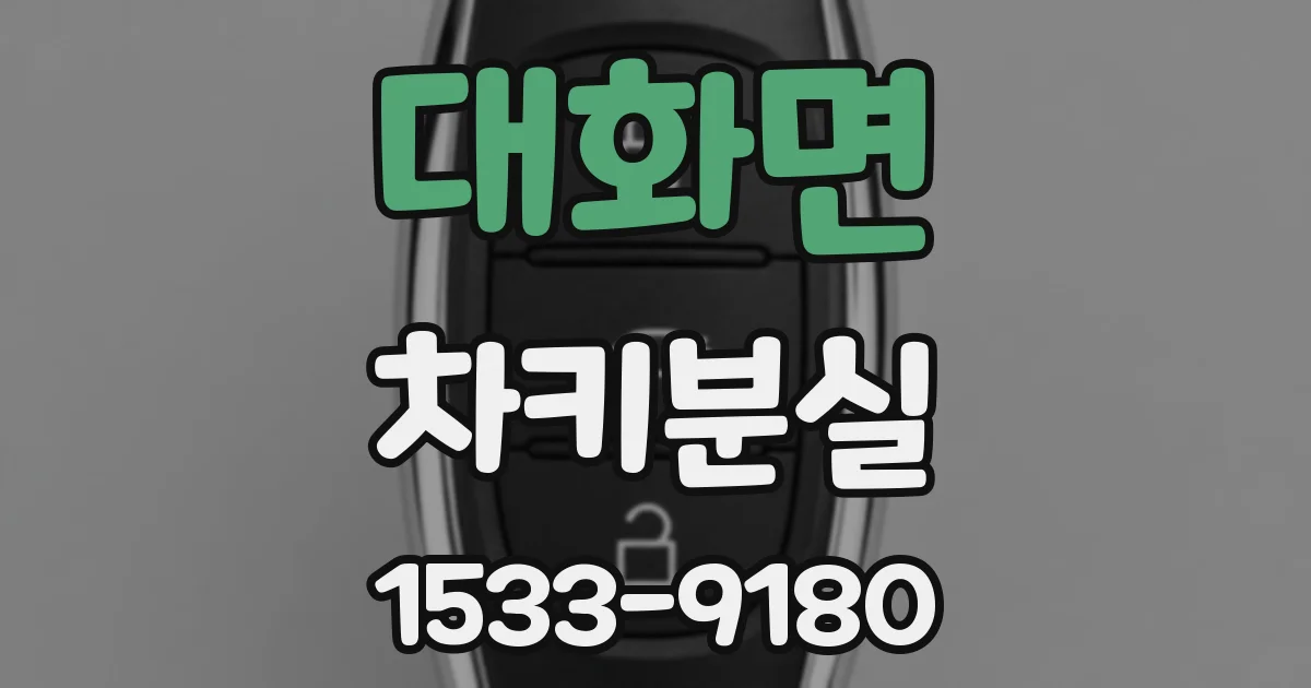 대화면 차키분실