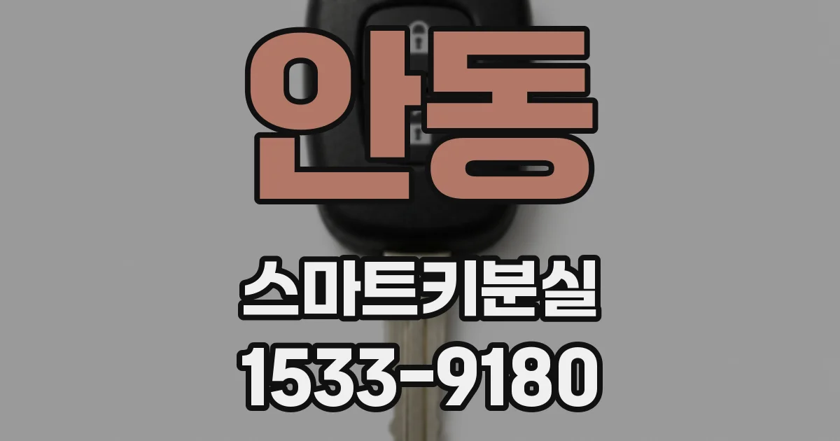 안동 스마트키분실