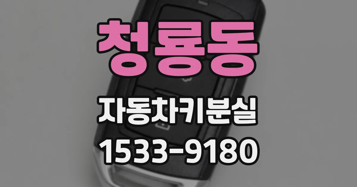청룡동 자동차키분실