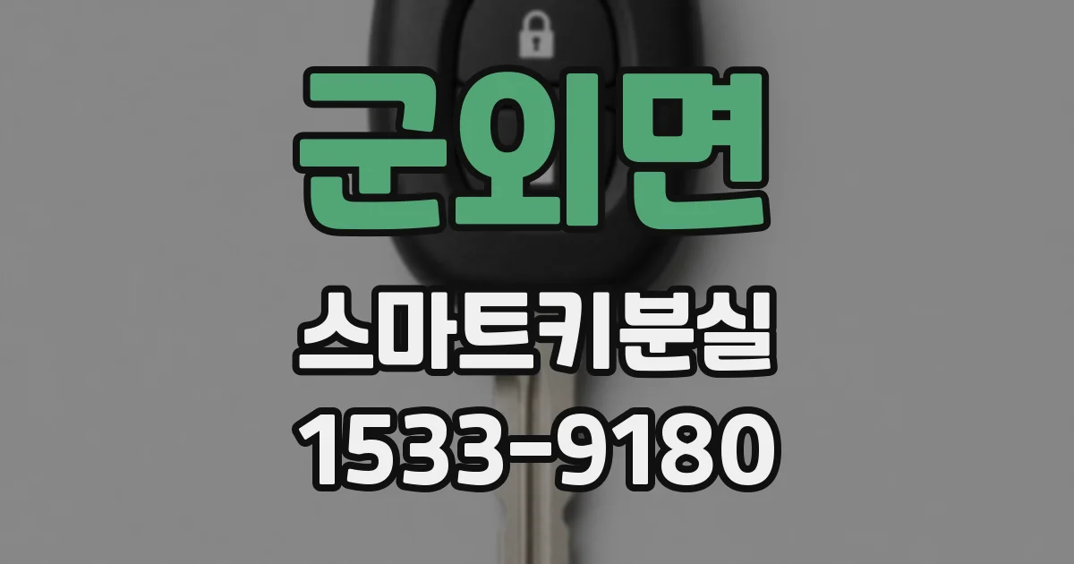 군외면 스마트키분실