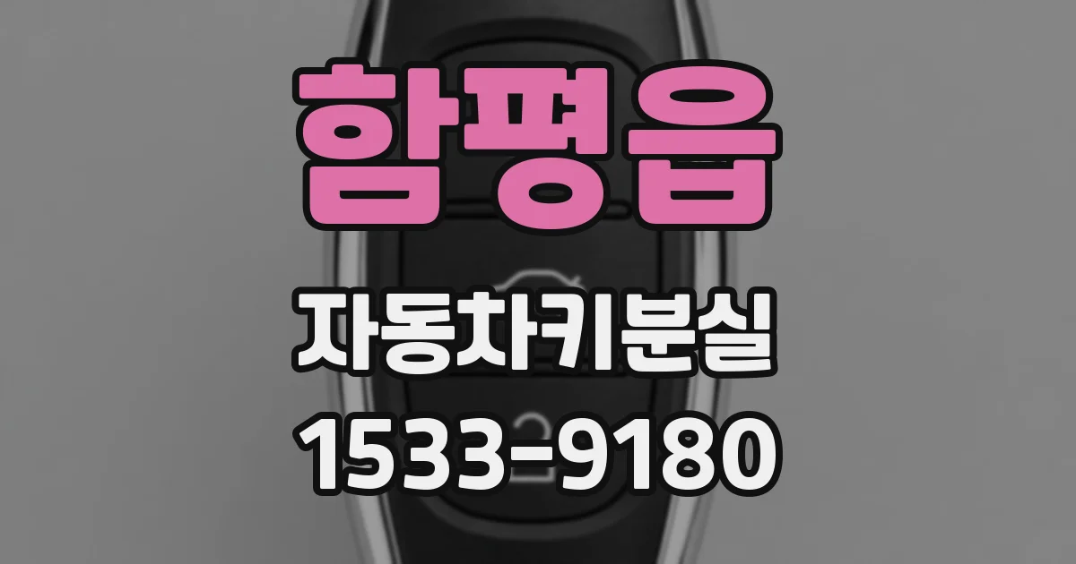 함평읍 자동차키분실