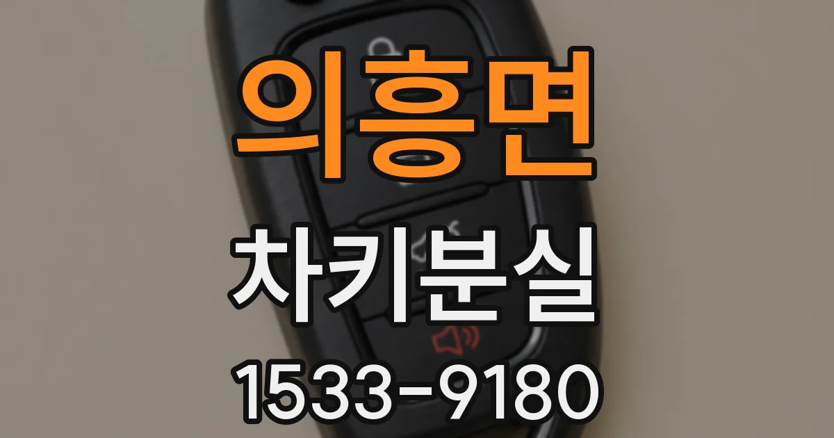 의흥면 차키분실