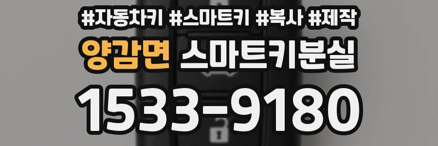 양감면 스마트키분실
