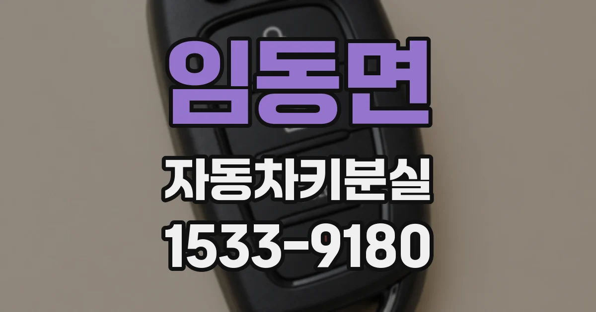 임동면 자동차키분실