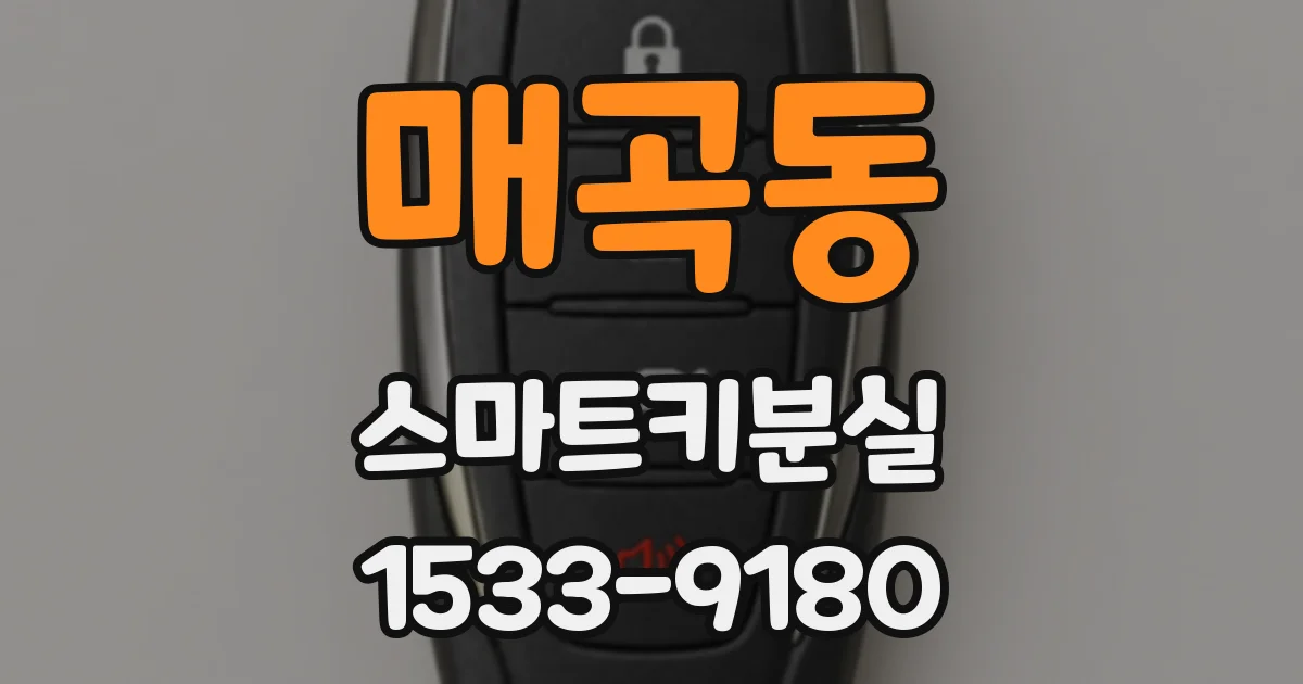 매곡동 스마트키분실