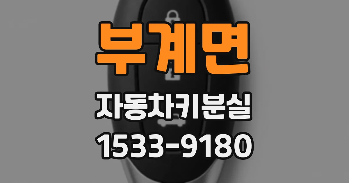 부계면 자동차키분실