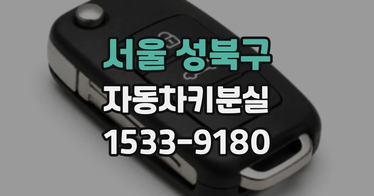 서울 성북구 자동차키분실