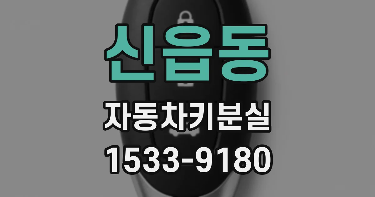 신읍동 자동차키분실