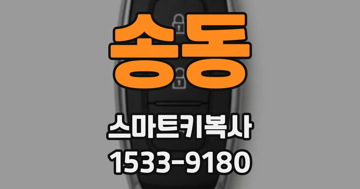 송동 스마트키복사