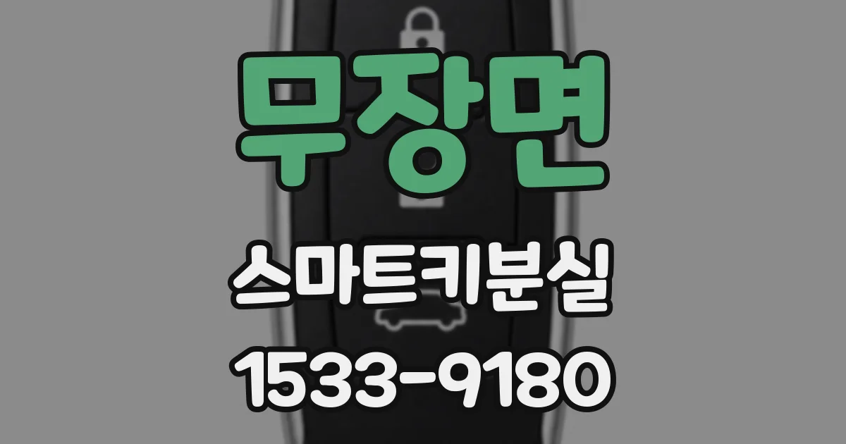 무장면 스마트키분실