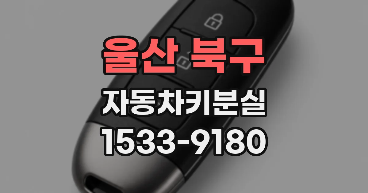 울산 북구 자동차키분실