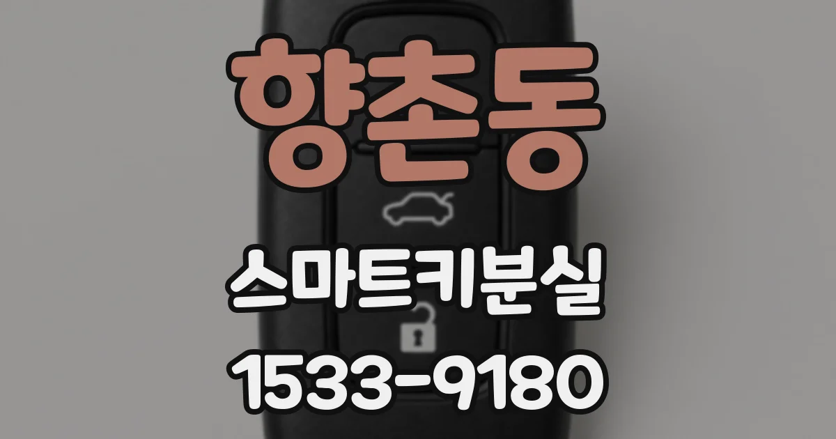 향촌동 스마트키분실