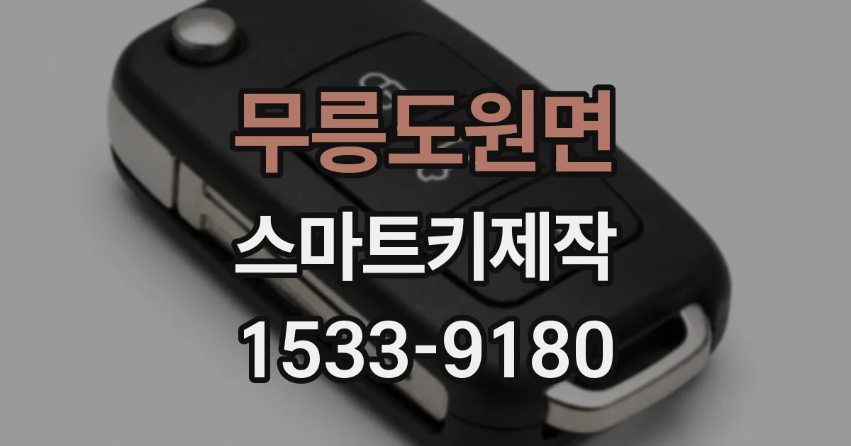 무릉도원면 스마트키제작