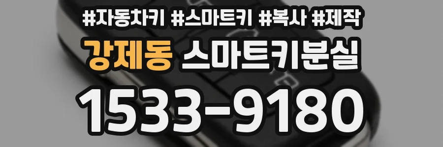 강제동 스마트키분실