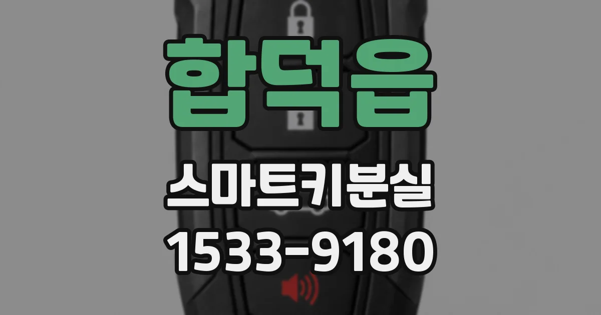 합덕읍 스마트키분실