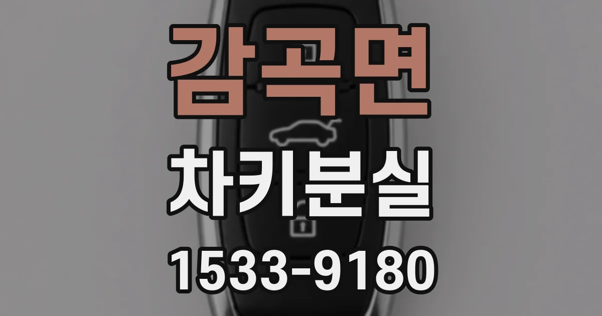감곡면 차키분실