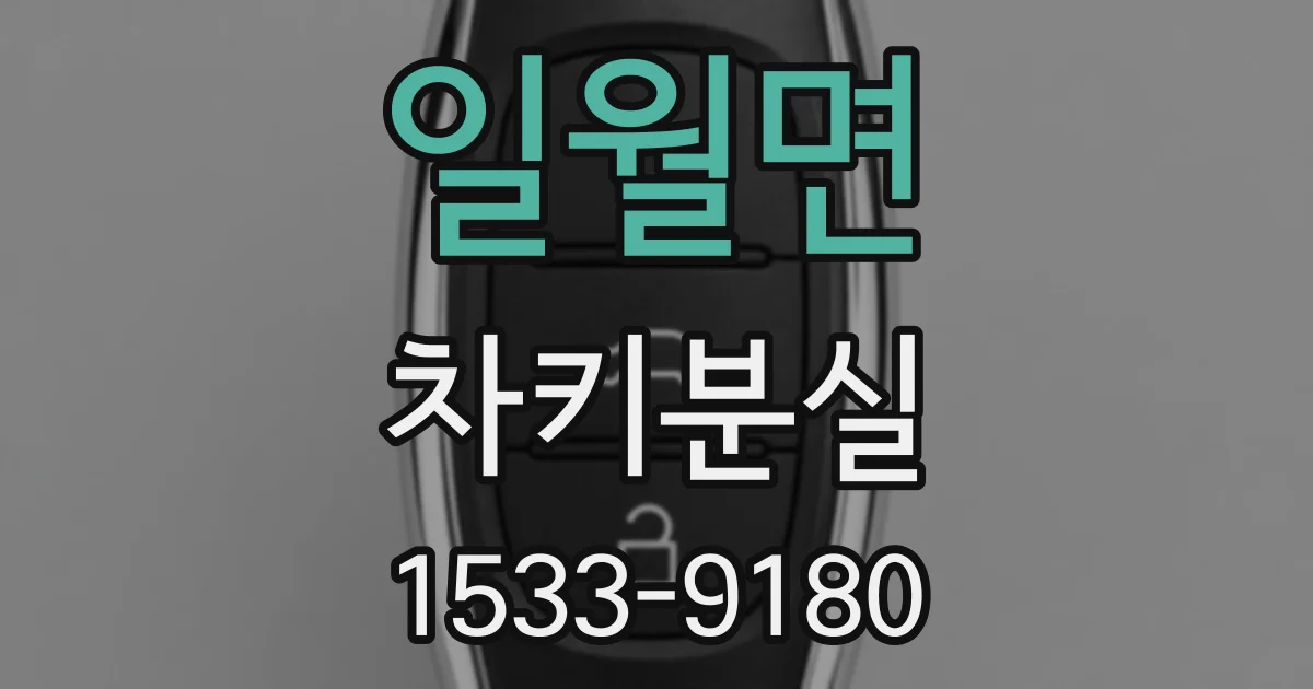 일월면 차키분실