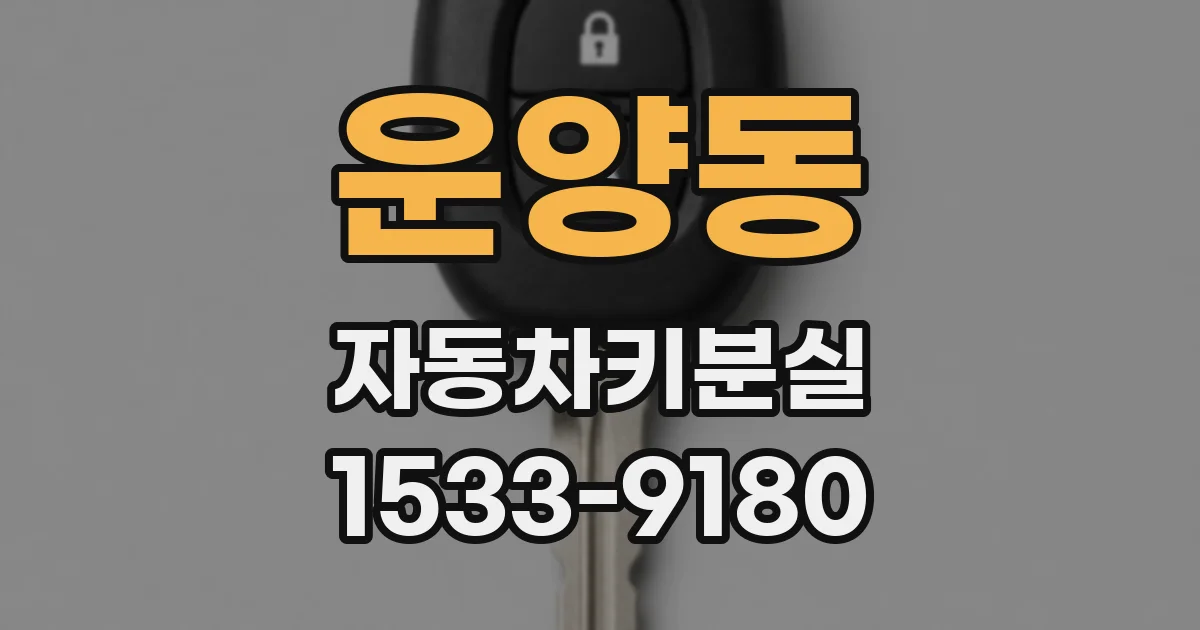 운양동 자동차키분실