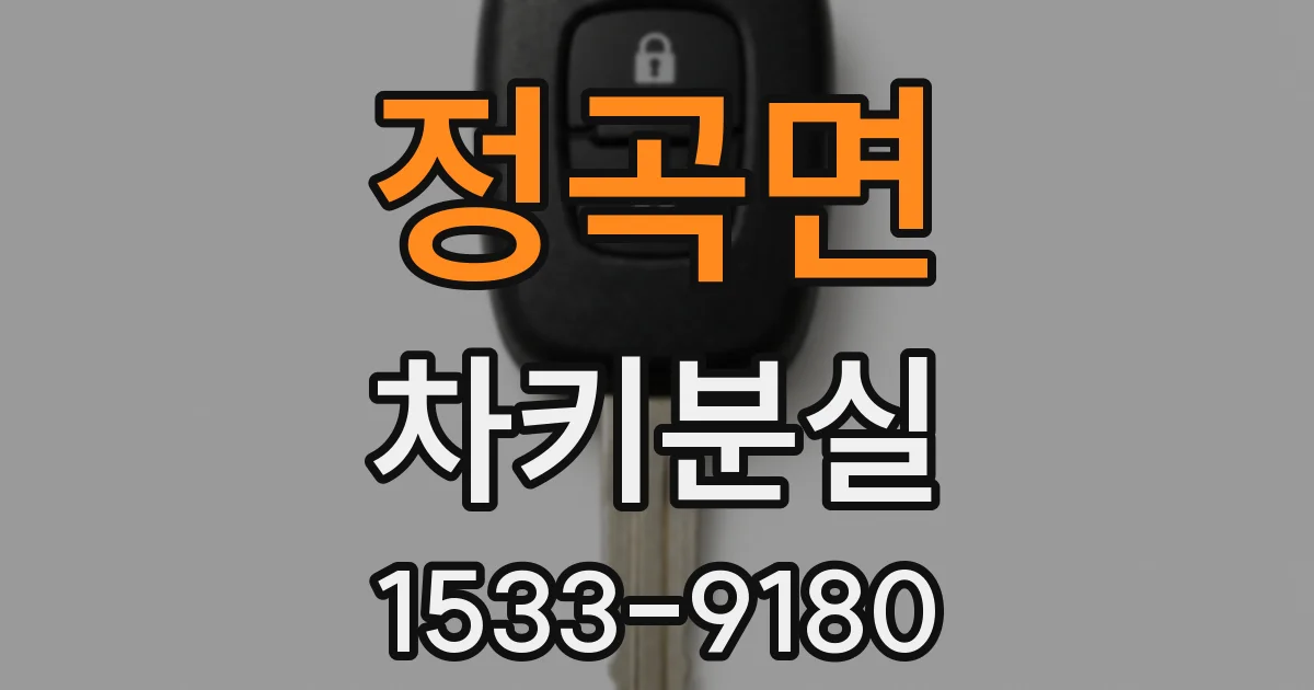 정곡면 차키분실