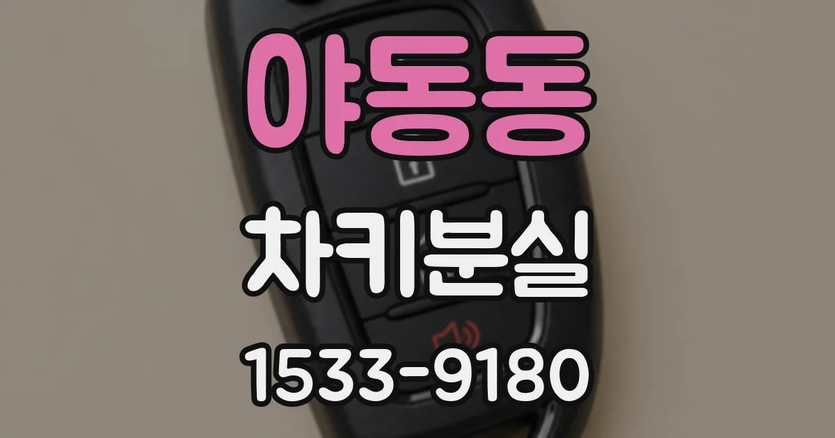 야동동 차키분실