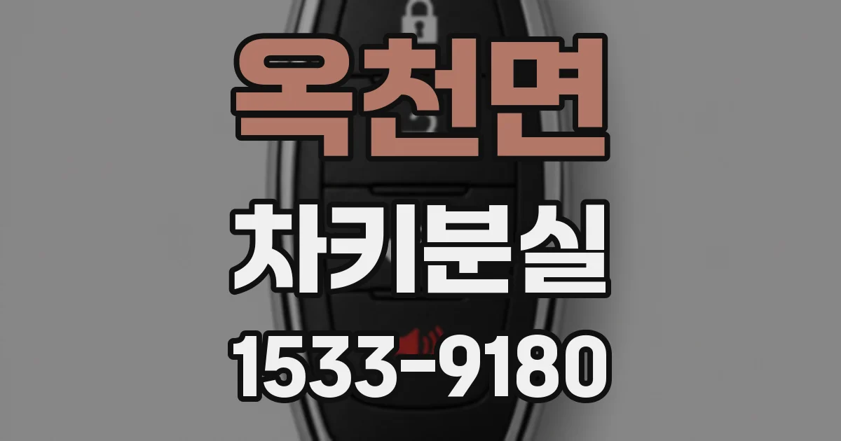 옥천면 차키분실