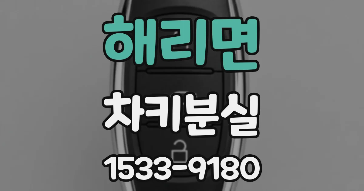 해리면 차키분실
