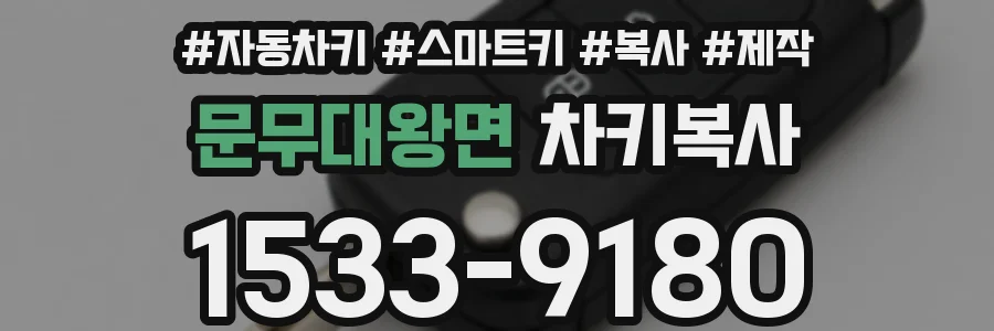 문무대왕면 차키복사