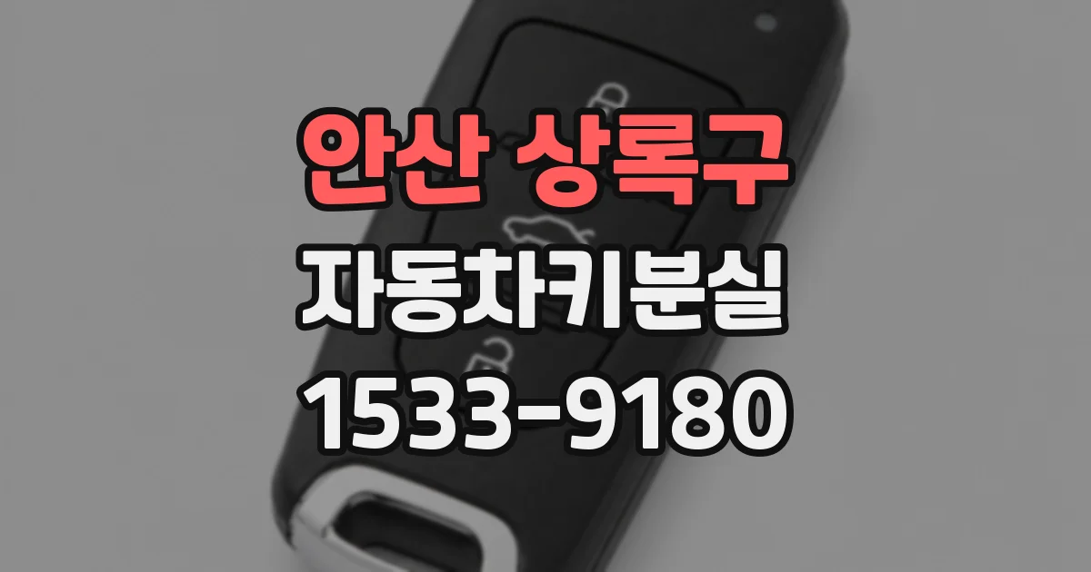안산 상록구 자동차키분실