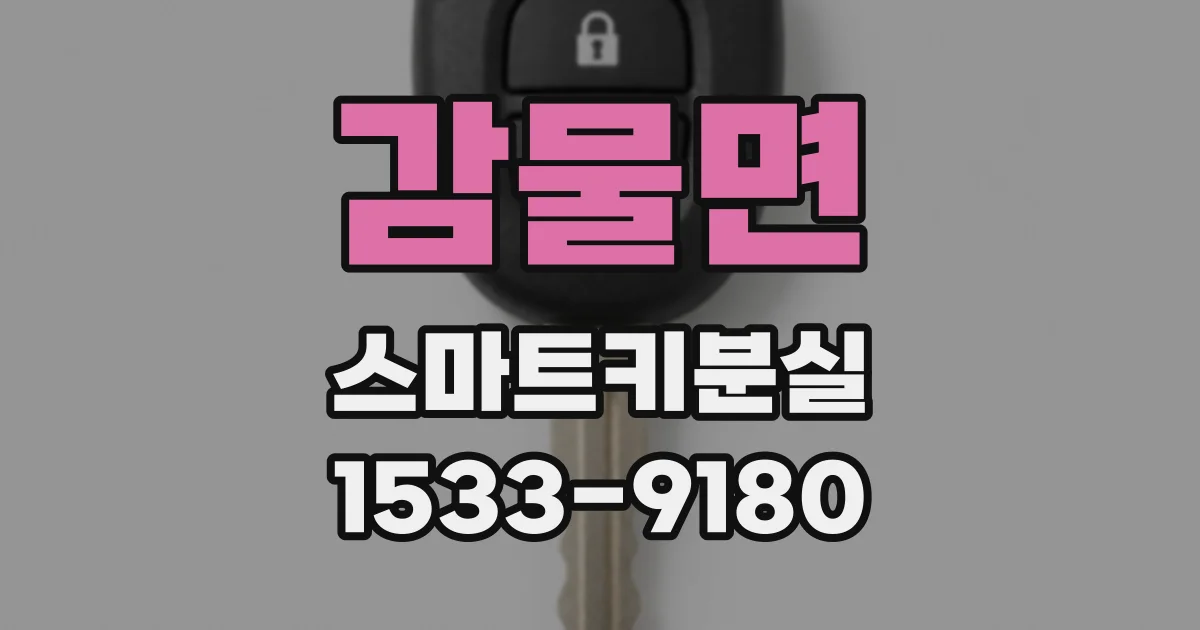 감물면 스마트키분실