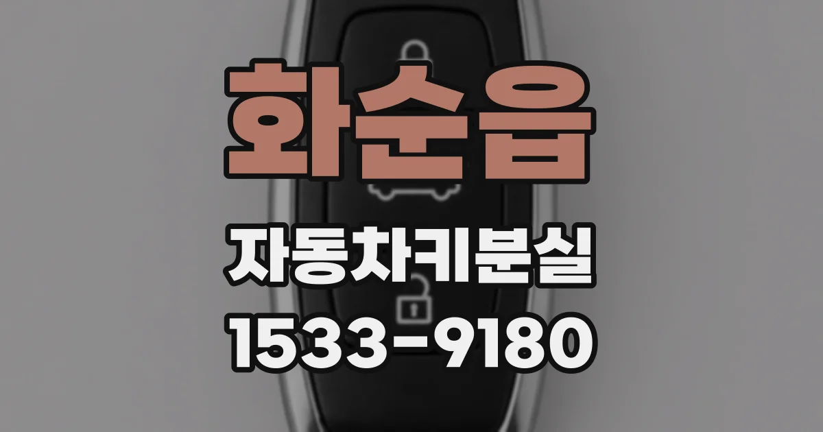 화순읍 자동차키분실